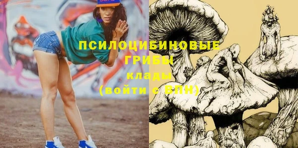 крисы Краснотурьинск