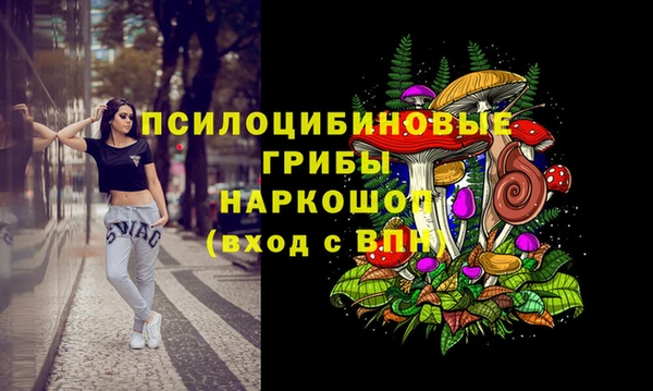 первитин Коряжма