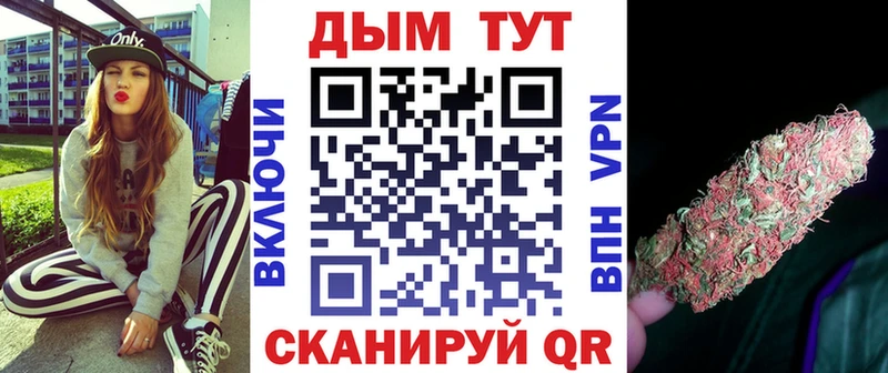 где можно купить наркотик  Костомукша  Бошки Шишки SATIVA & INDICA 